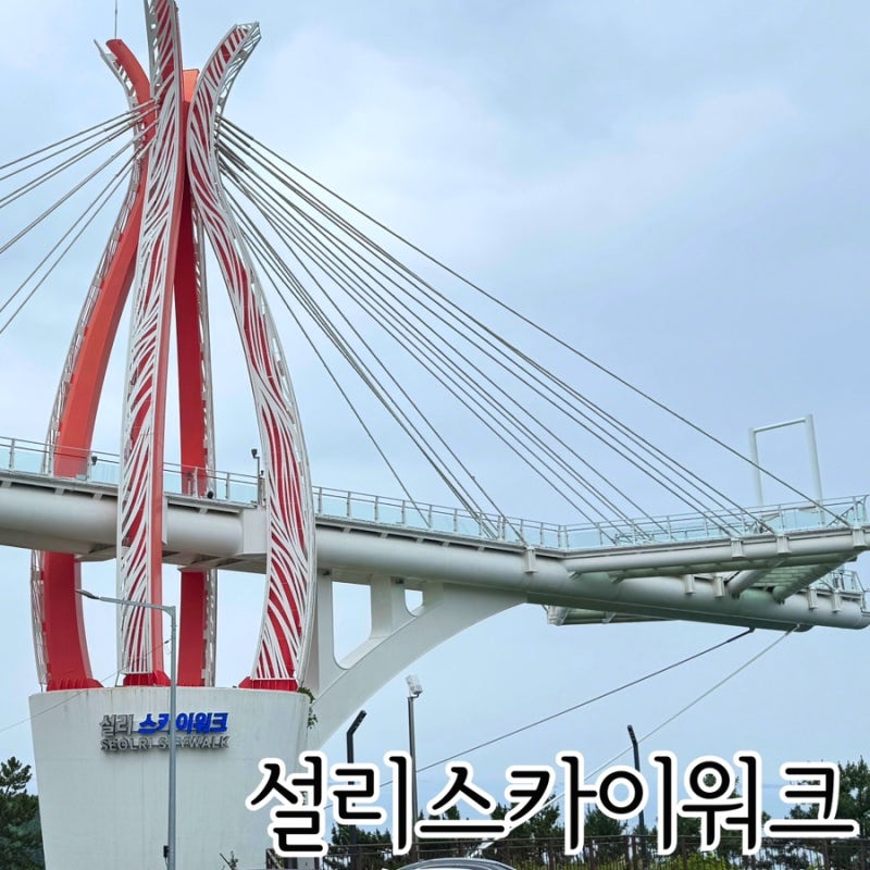 남해여행지 추천 남해명소 미조 설리스카이워크 카페 정보
