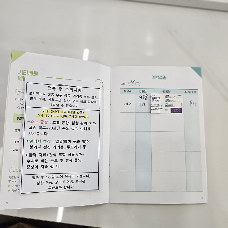 제갈견동물병원 사진 2