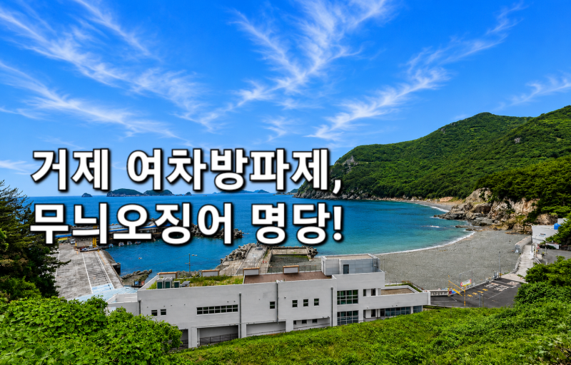 거제 여차방파제 낚시 포인트 총정리 : 무늬오징어·감성돔 공략