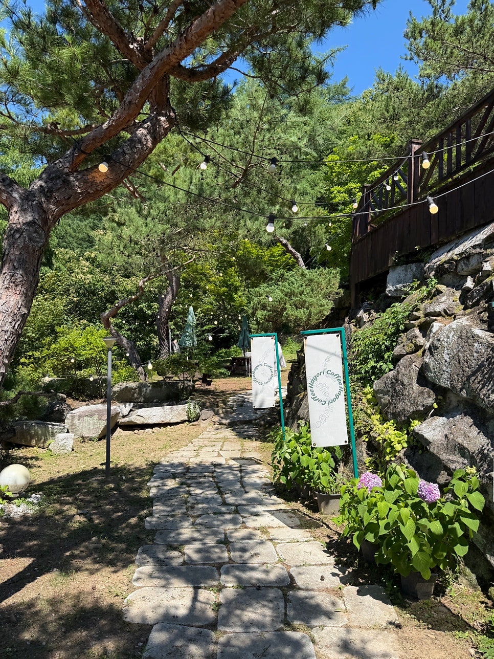 하고리 사진 6