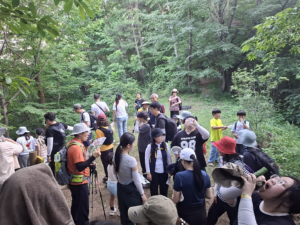 마이산한방흑돼지족발 사진 2