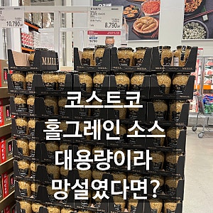 코스트코 소스 홀그레인 머스타드 구매후기 대용량 마이어 씨겨자소스 소분 방법 및 활용법