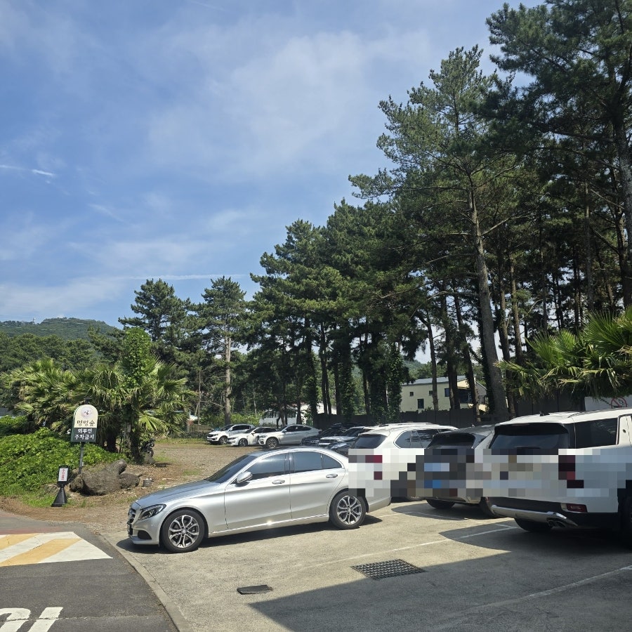 멍멍숲 사진 1