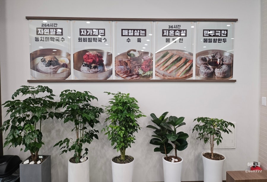 삼교리동치미막국수 가산점 사진 6