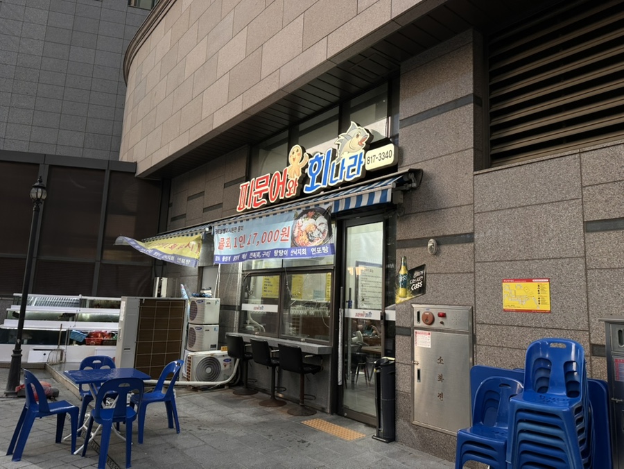 피문어와회나라 사진 1