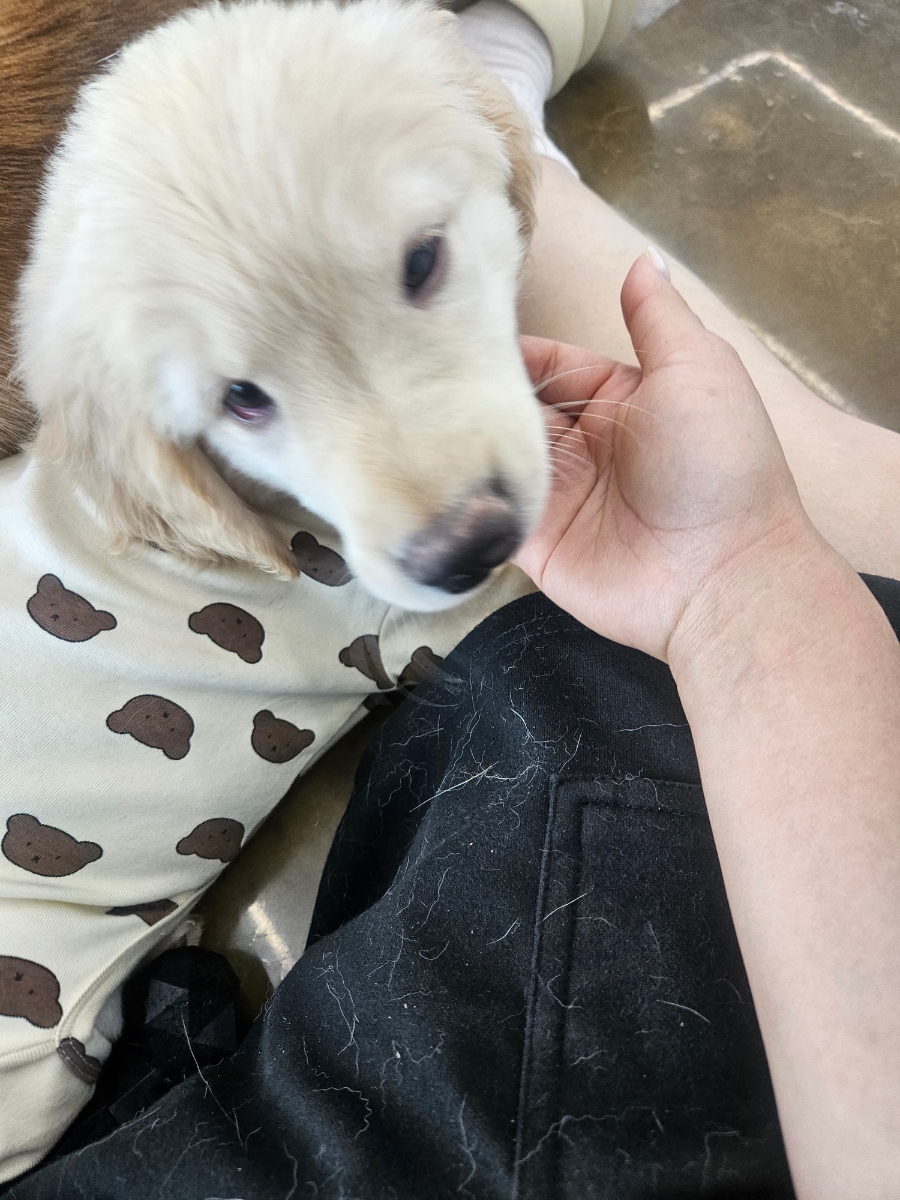 보라눈나 사진 6