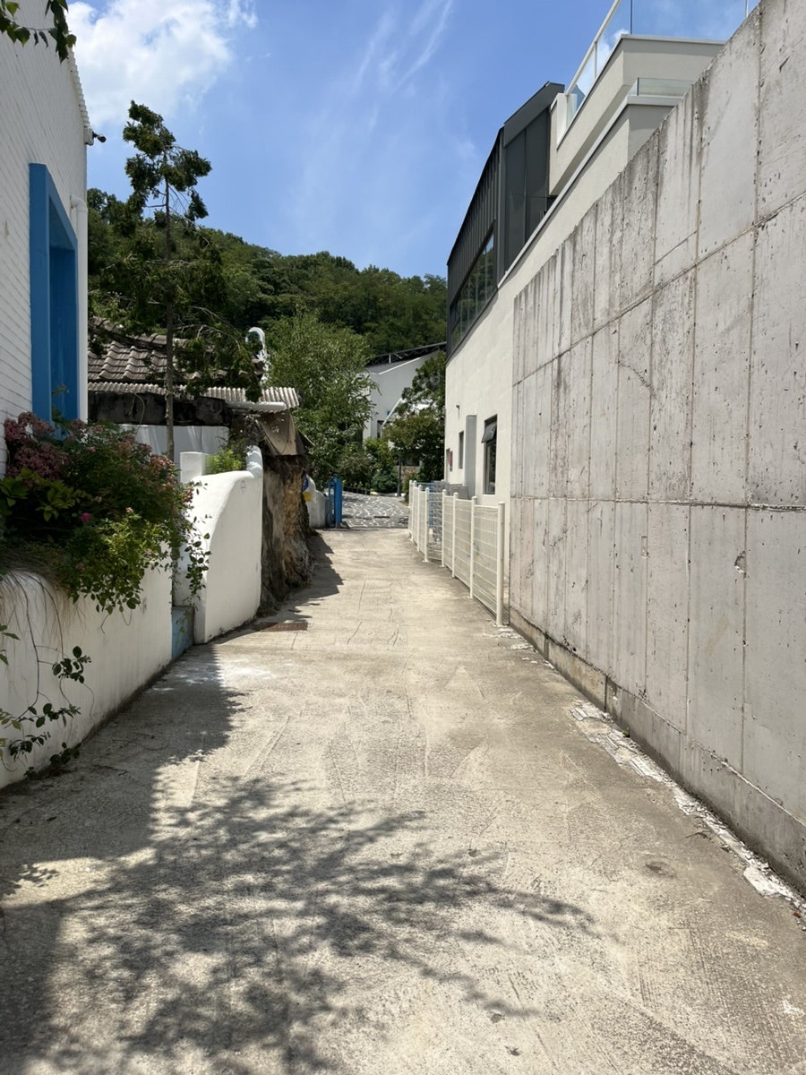 롤링핀 대구수목원점 사진 2