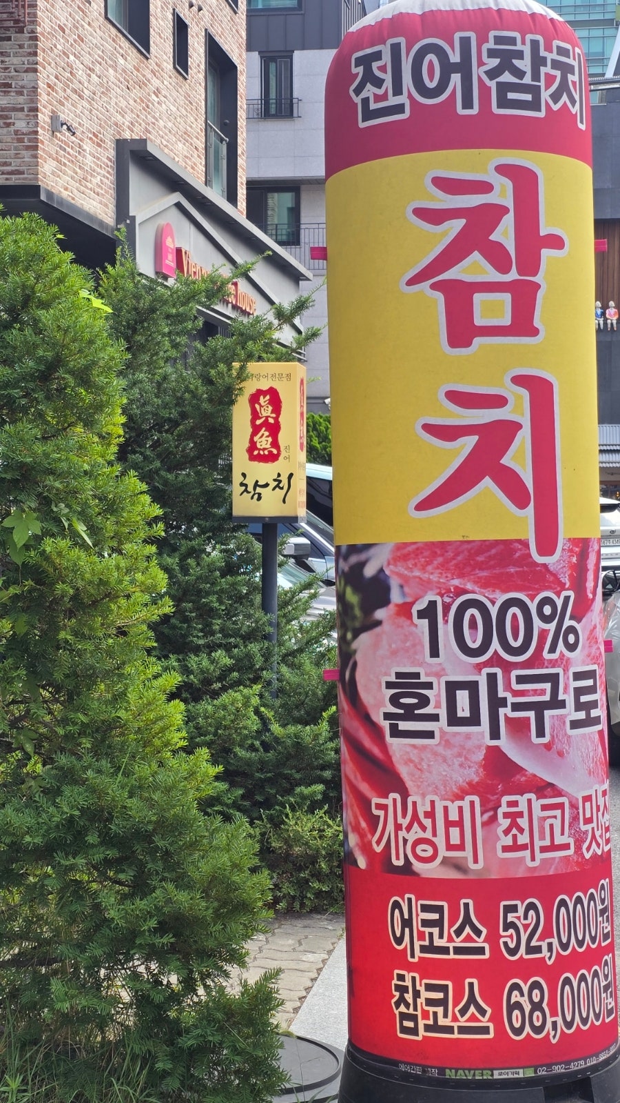 진어참치 사진 2
