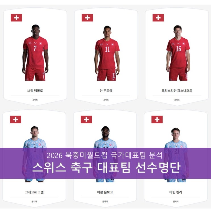 2026 북중미 월드컵 <b>스위스 축구 국가대표팀</b> 선수 명단 분석