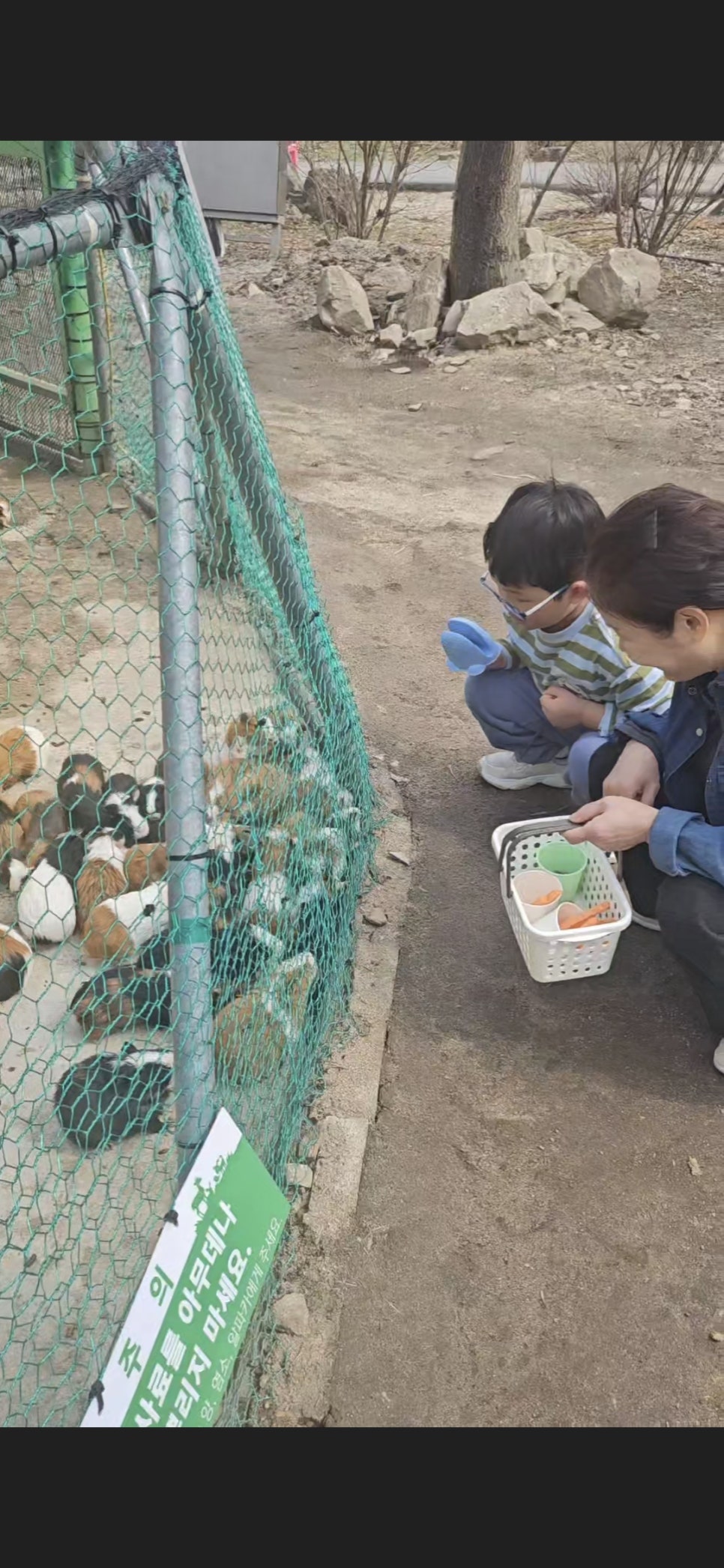 사막여우 사진 4