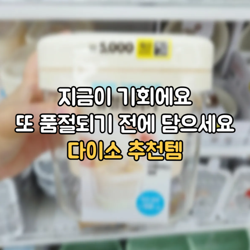 또 품절되기 전에 담으세요! 다이소 신상 추천템 3가지