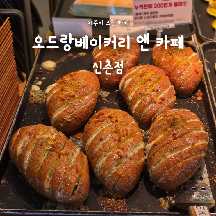 제주 조천 대형 베이커리 카페, 오드랑베이커리 신촌점 빵지순례