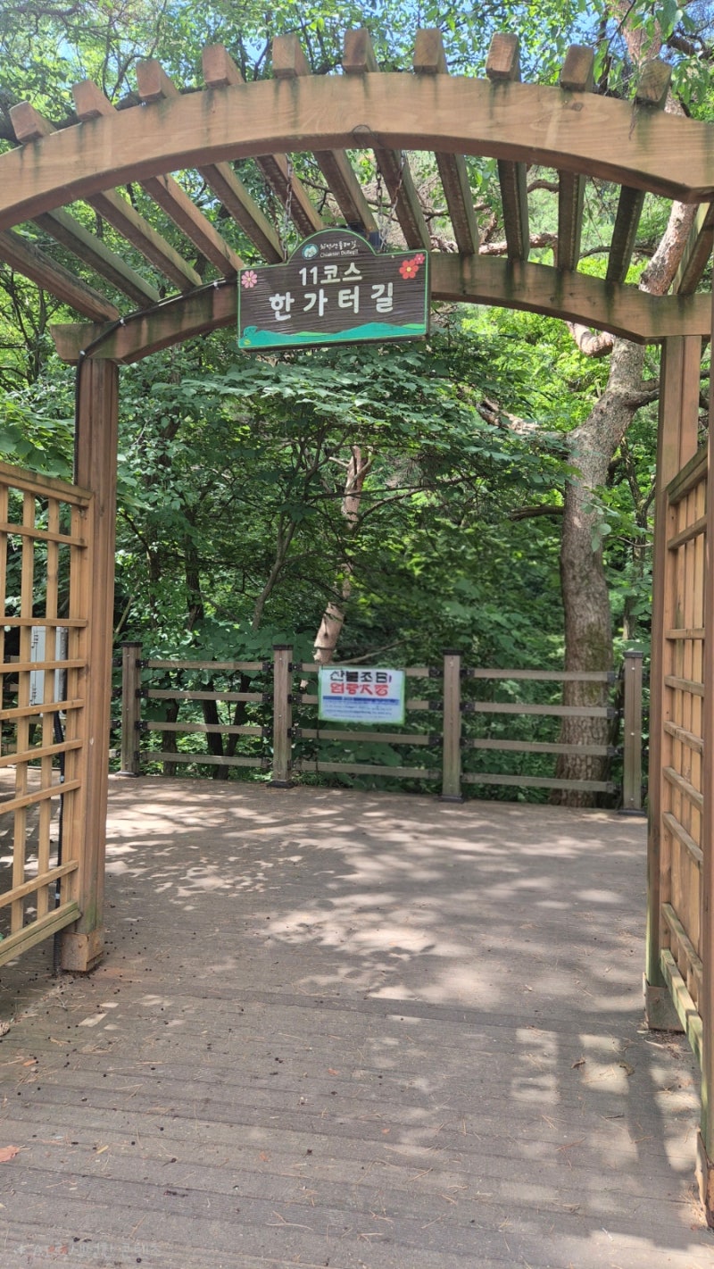 원주 둘레길11코스 한가터길 | 치악산 숲길에서 만난 가장 여유로운 산책 코스 국형사 (주차 ....