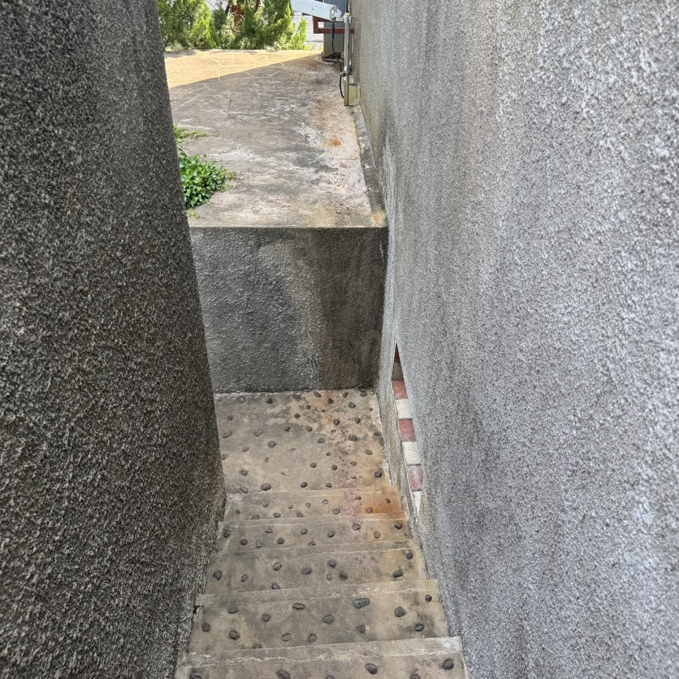 제주락 사진 5