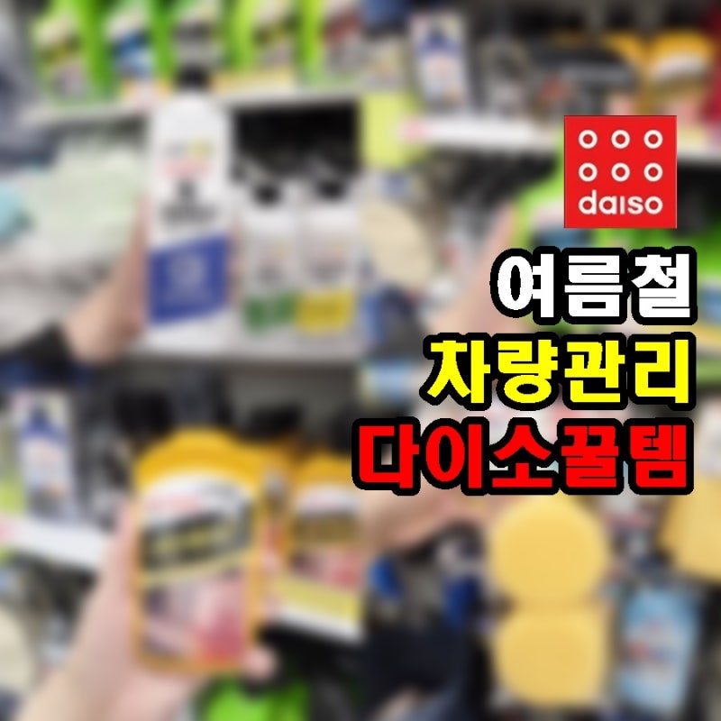 여름철 차 관리할 때 사면 만족하는 다이소꿀템 6가지