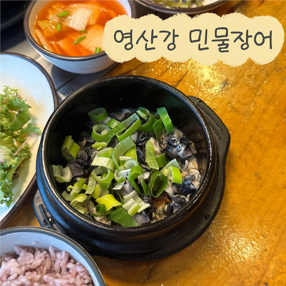 영산강민물장어 사진 1