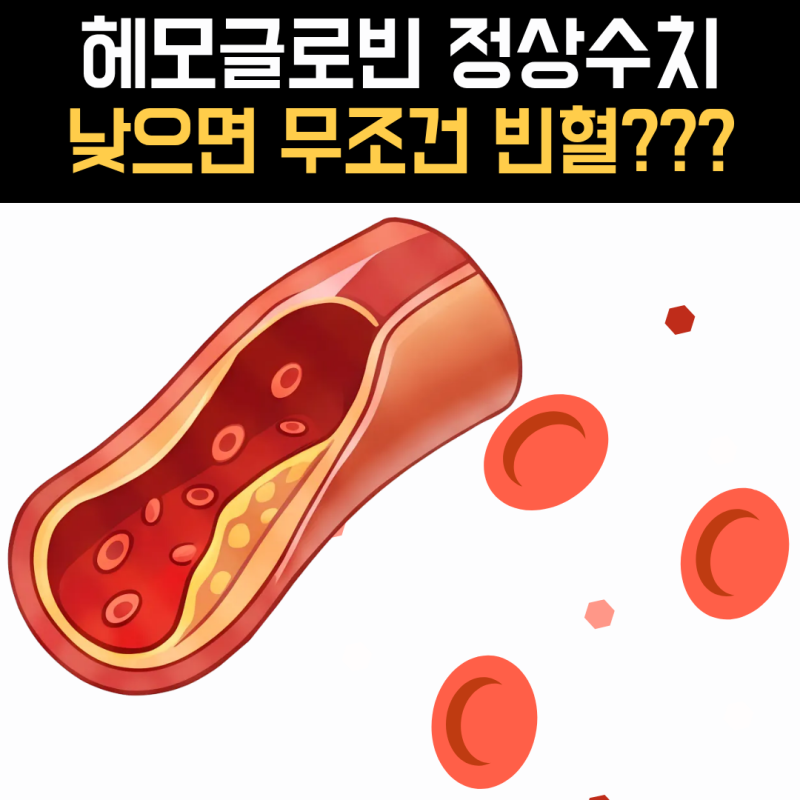 헤모글로빈 정상수치 여자 기준, 12g/dL 미만이면 빈혈일까요