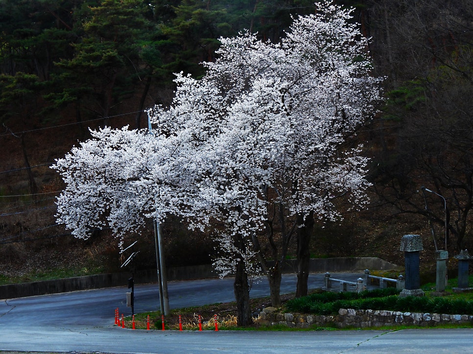 선방산 사진 6