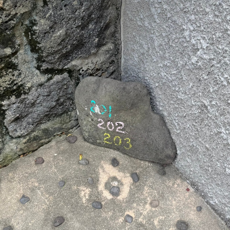 제주락 사진 4