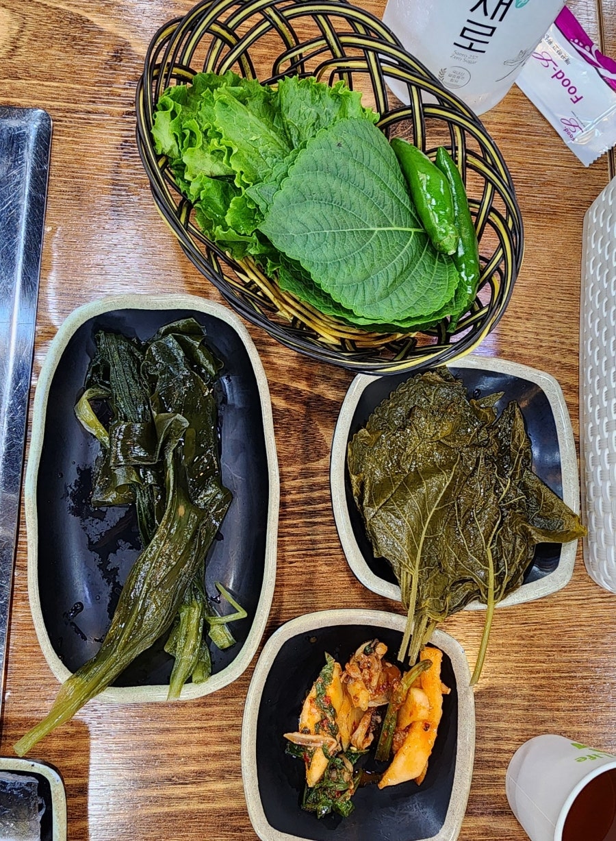 강변민물장어 사진 3