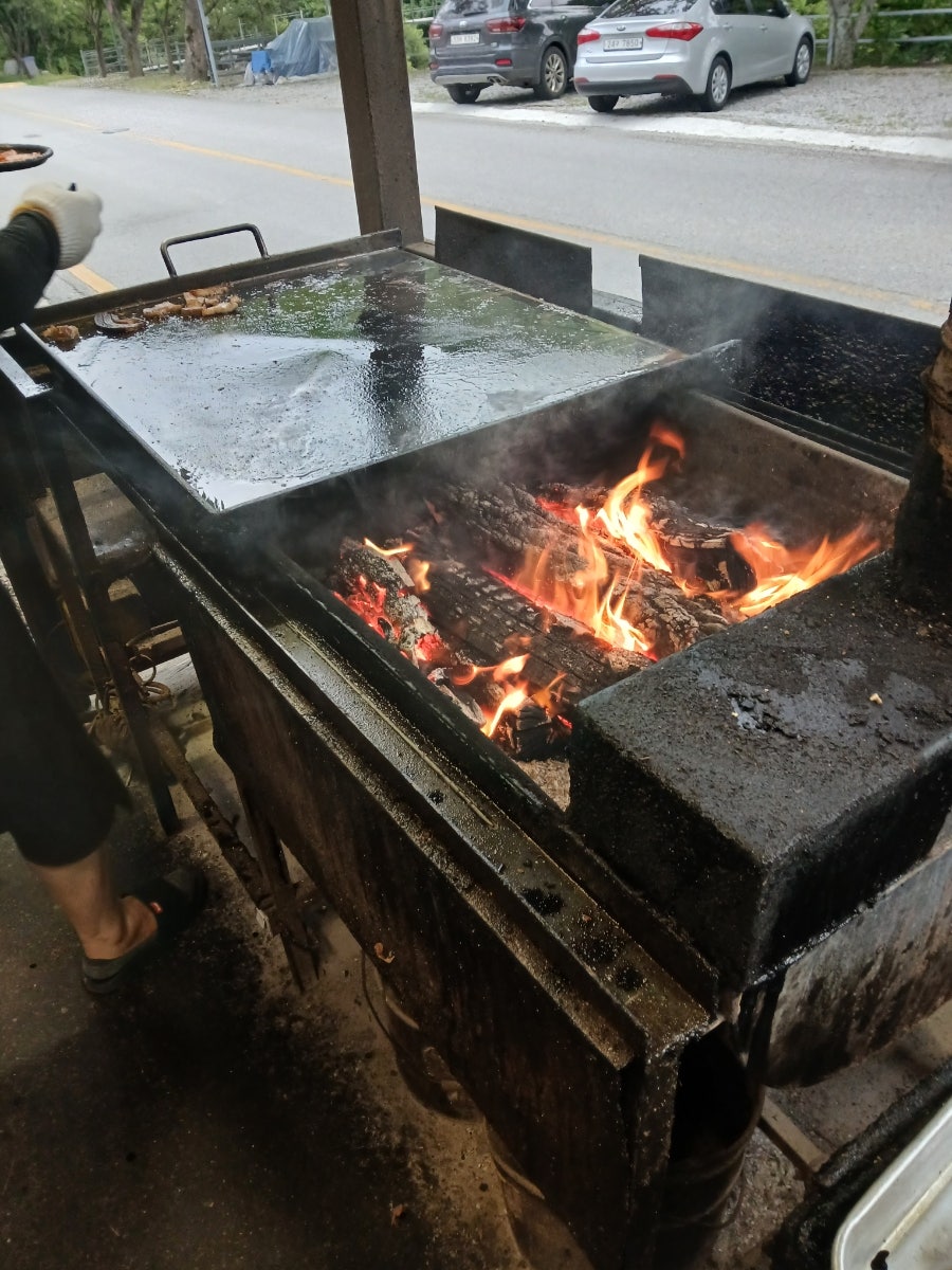 정자나무식당 사진 2