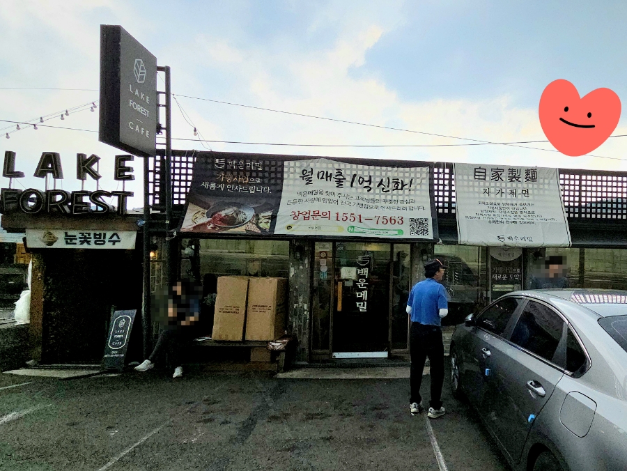 백운메밀 사진 2