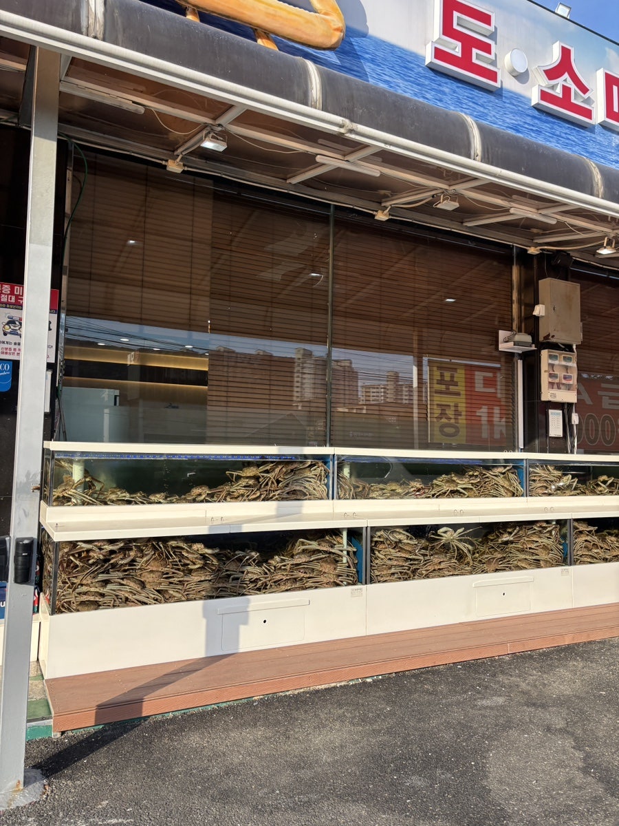 세보수산 사진 3