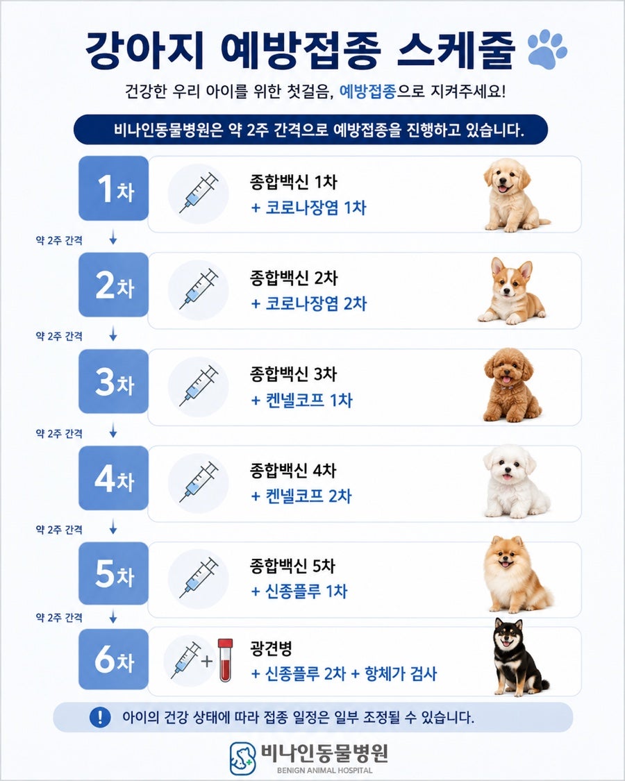 비나인동물병원 사진 3