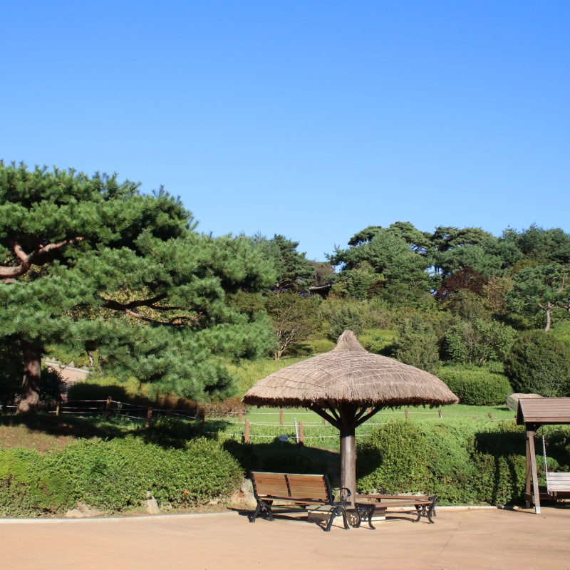 [태안 7월 가볼 만한 곳] 여름 무더위 날리는 시원한 안면도 힐링 도보 여행 코스 추천 및 총....