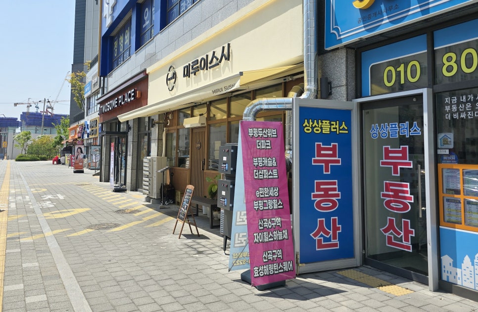 미루이스시 사진 2