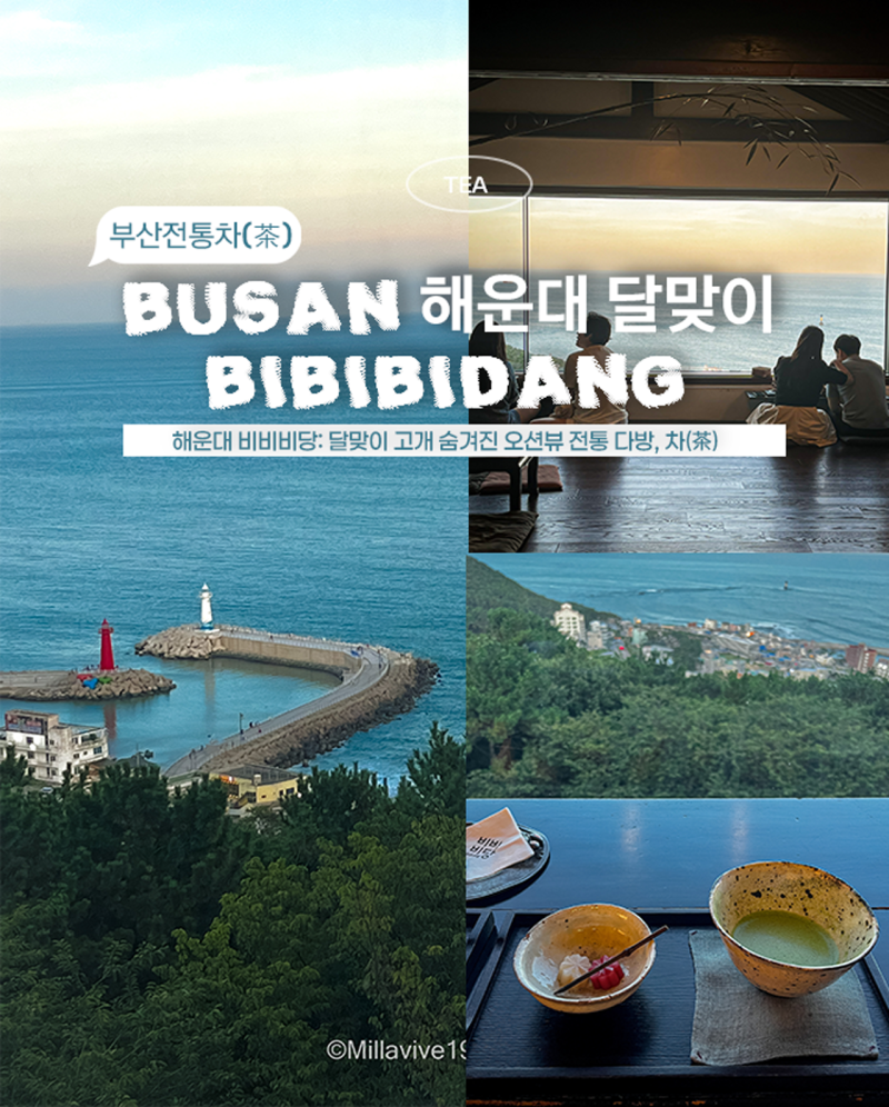 해운대 달맞이고개 한옥카페 비비비당, 뭐가 특별할까? (가격/메뉴/오션뷰 총정리)(feat. 외국....