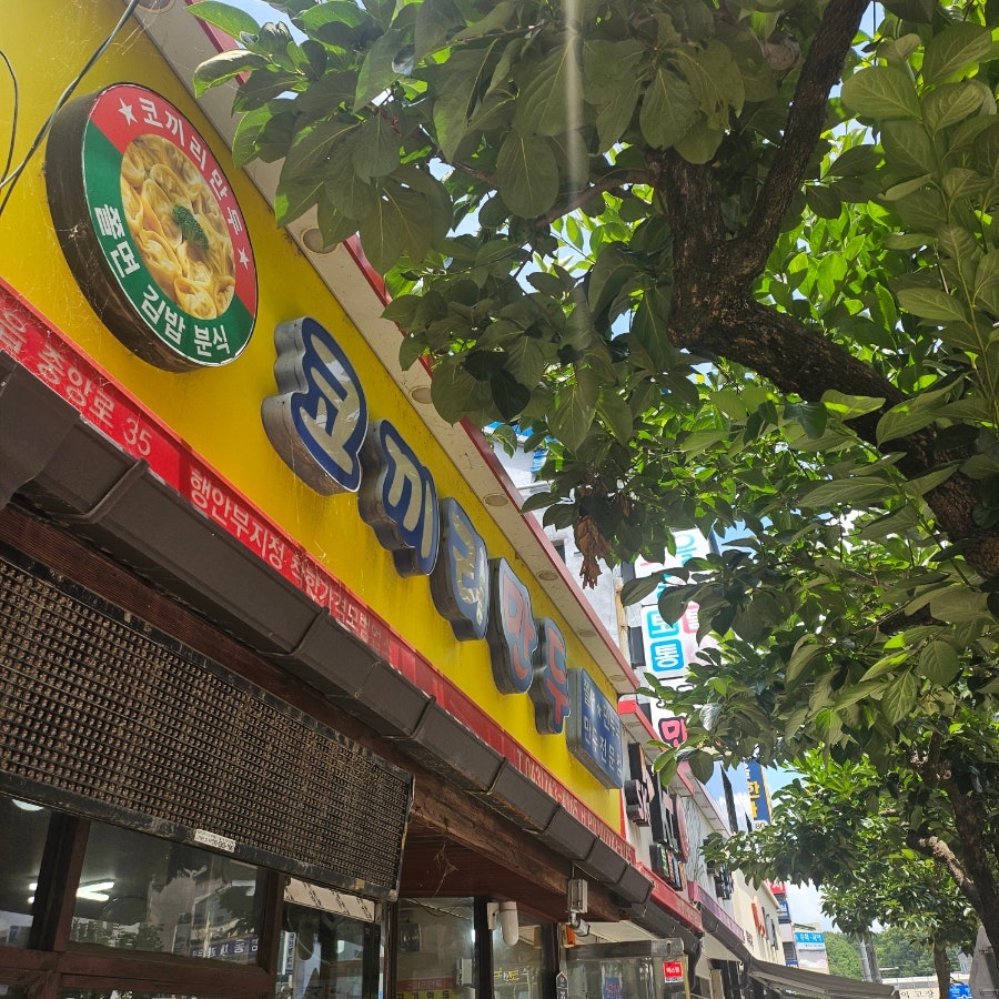 코끼리만두 사진 1