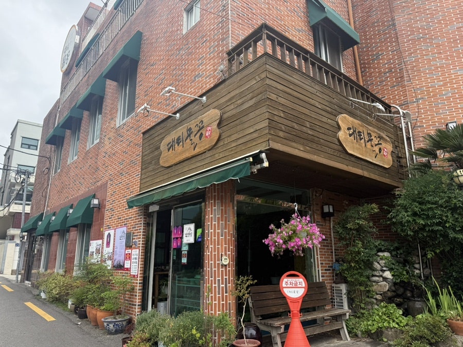 대티물꽁 사진 3