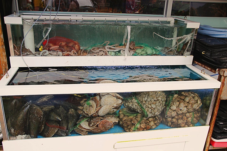 군산 은모래해물탕아구찜 본점 사진 3