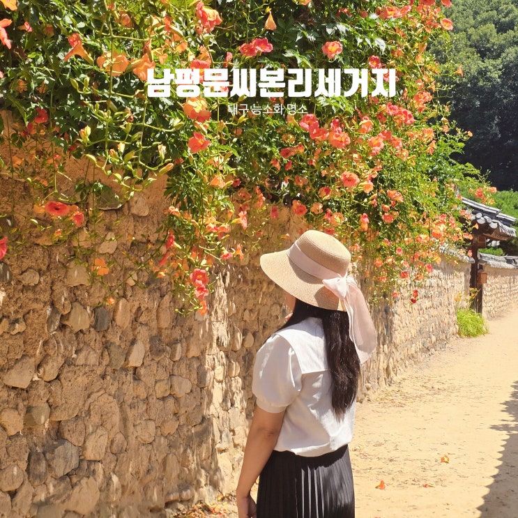 대구 <b>능소화</b> 명소 여기였네! 남평문씨본리세거지 개화 실시간... 