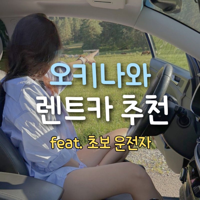 오키나와 렌트카 후기(내돈내산)｜초보운전이 직접 운전해본 솔직 후기