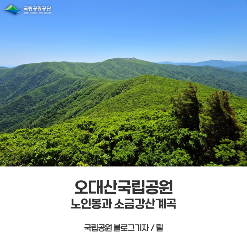 [오대산국립공원] 노인봉과 소금강산계곡, 싱그러운 빛으로 채워진 초여름 풍경을 즐기다