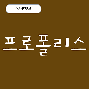 프로폴리스 효능, 복용법 스프레이 그린 프로폴리스 추천