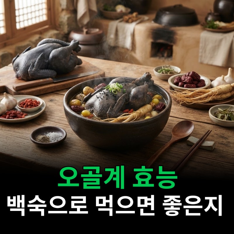 오골계 효능 백숙으로 먹으면 왜 더 좋은지 알고보니
