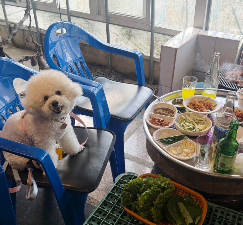 나주 애견동반 맛집 꽃무지야생화촌 생오리 900g 먹고 온 솔직 후기 가족외식 추천