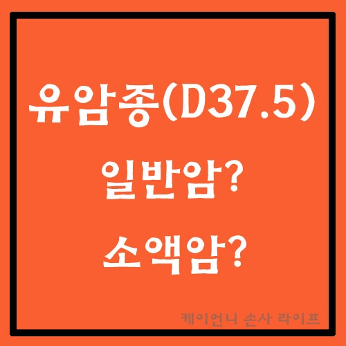 유암종(D37.5)·신경내분비종양(NET) 일반암? 소액암? 암진단비 보험금 지급기준과 분쟁 쟁점