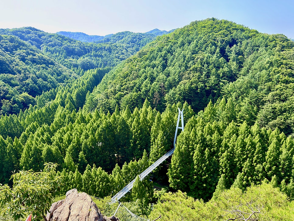 장태산자연휴양림 전망대 사진 1