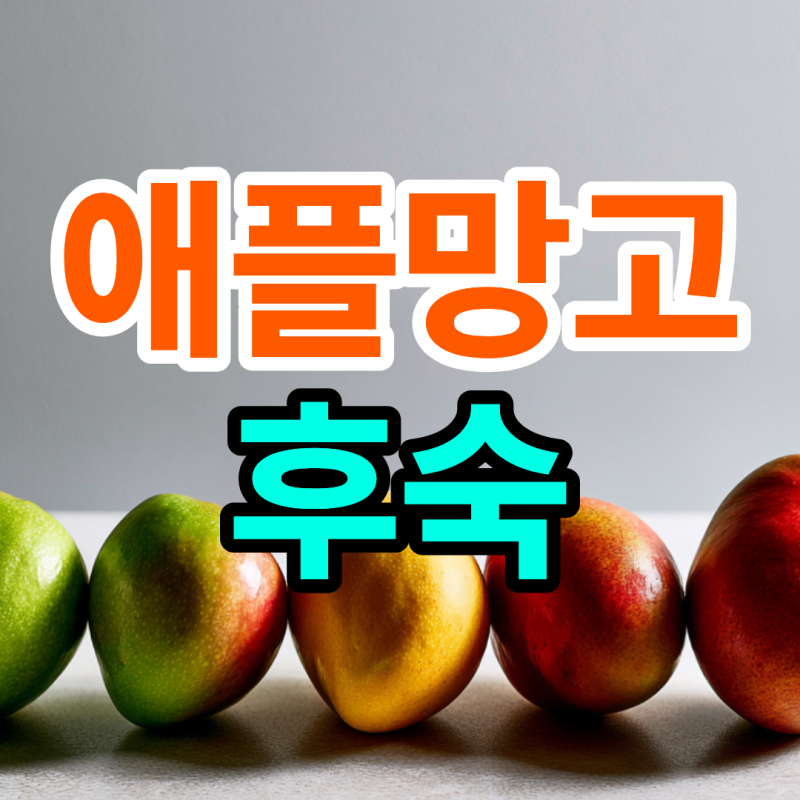 애플망고 후숙 방법 색깔 기간 냉장고에서 해도 될까?