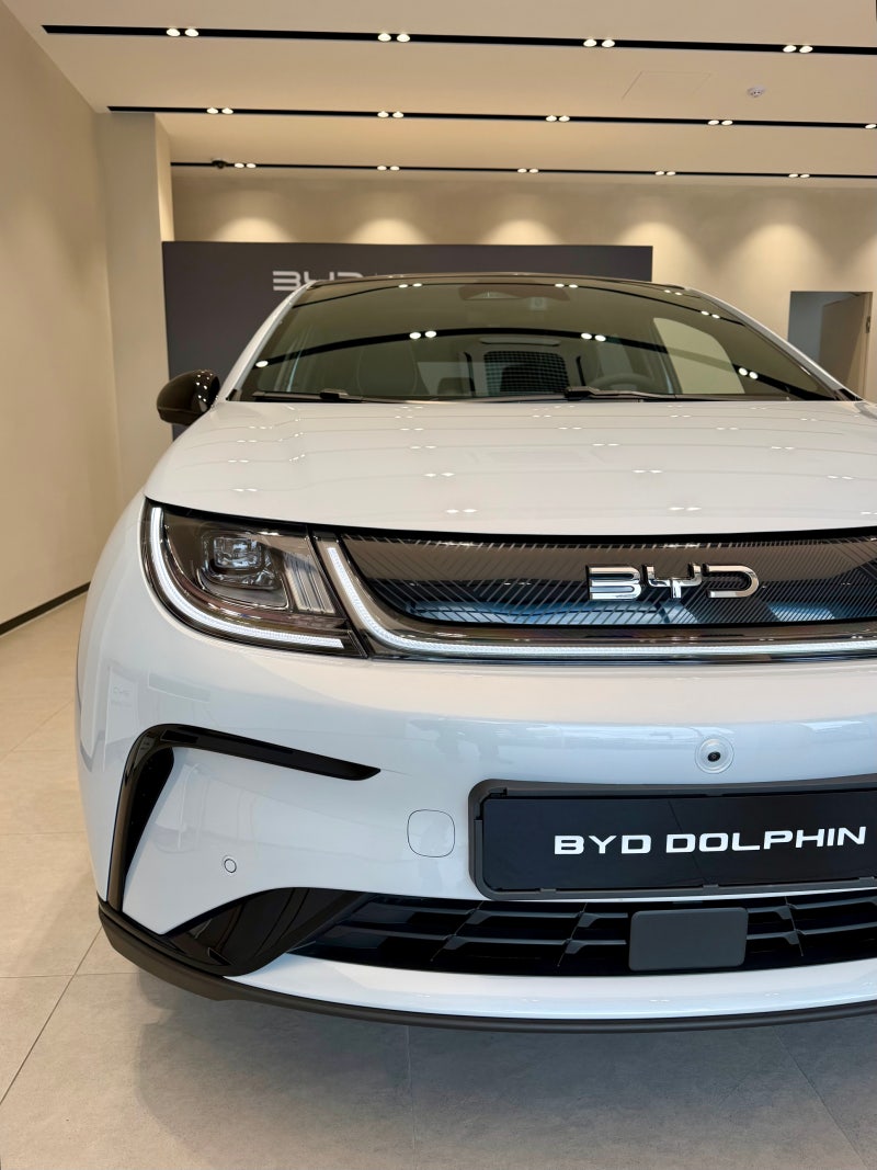 BMW에서 BYD로, 첫 소개는 돌핀입니다 | 가격·시승·견적 안내