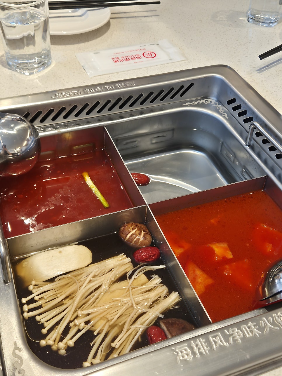 팬더 사진 2