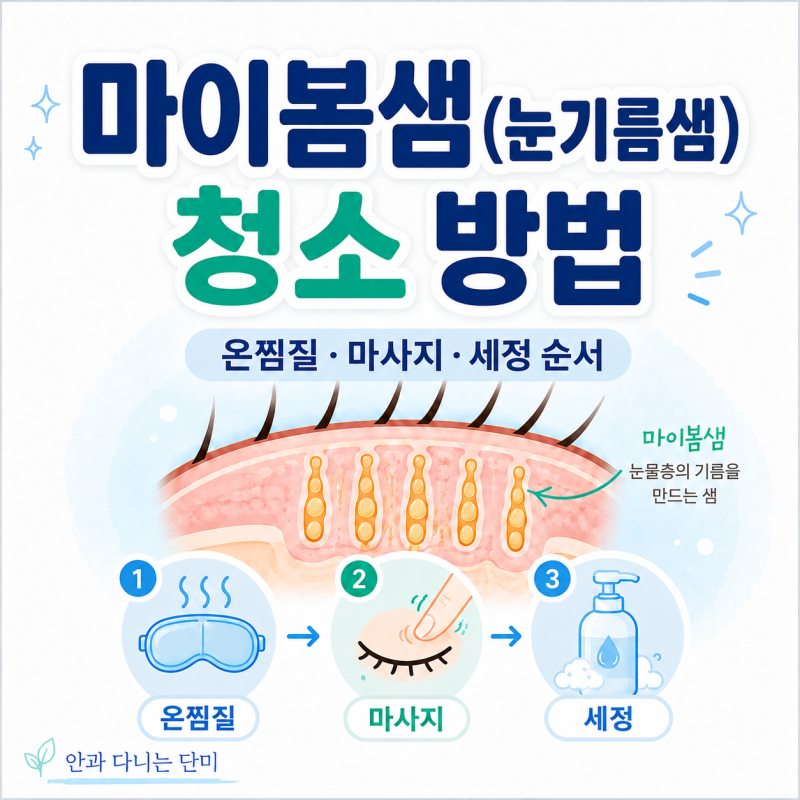 마이봄샘 청소 방법｜눈기름샘 온찜질·마사지·눈꺼풀 세정 순서