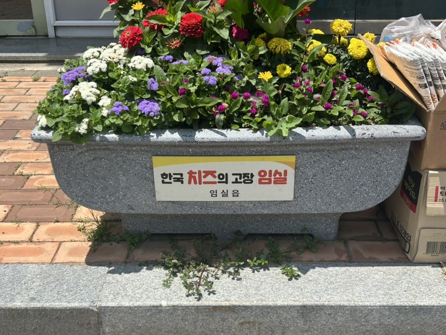 임실N치즈피자 전북임실점
