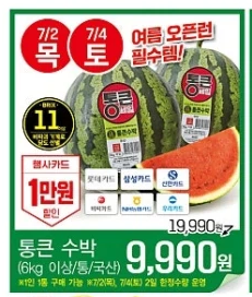 롯데마트 통큰데이 7월, 날짜별 특가 총정리ㅣ수박 9,990원부터 장어 반값까지 이날 가세요