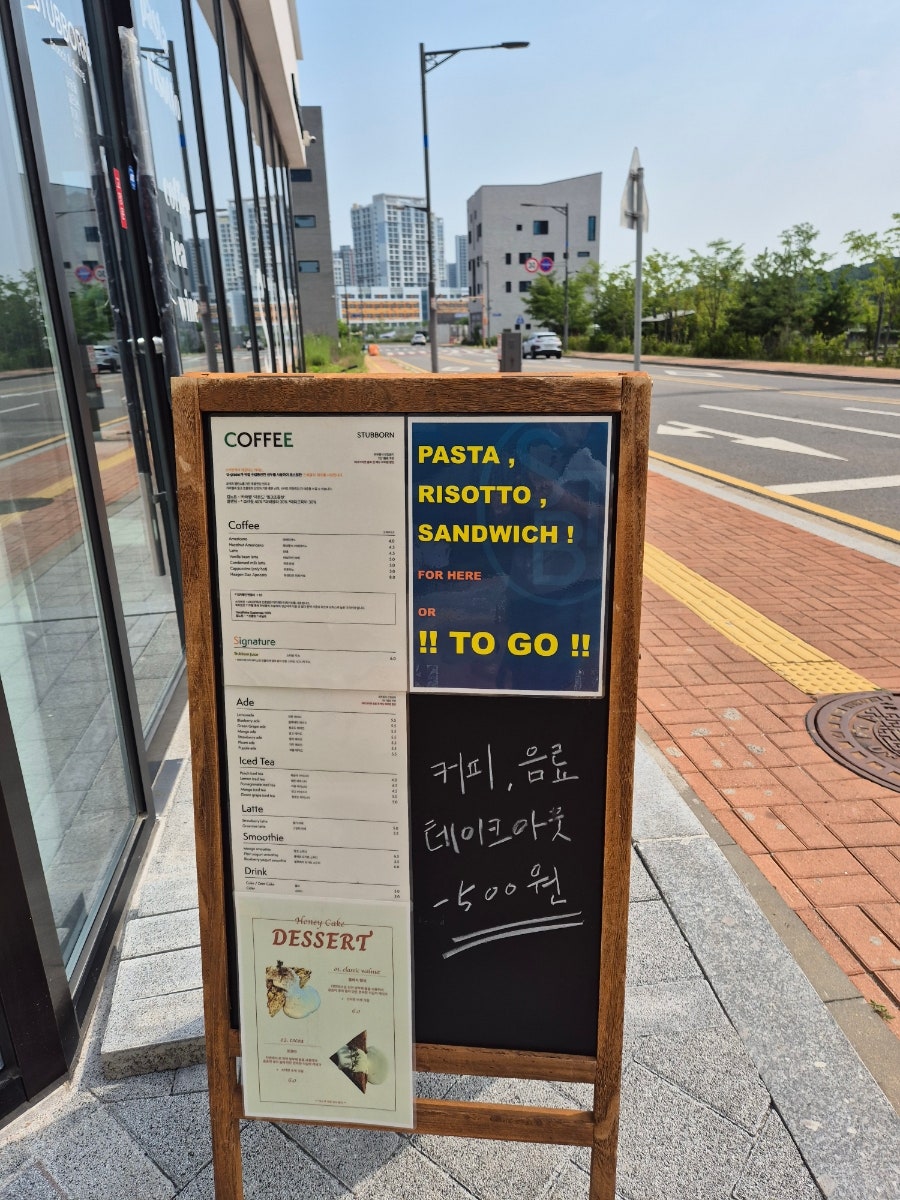 스터번 사진 4