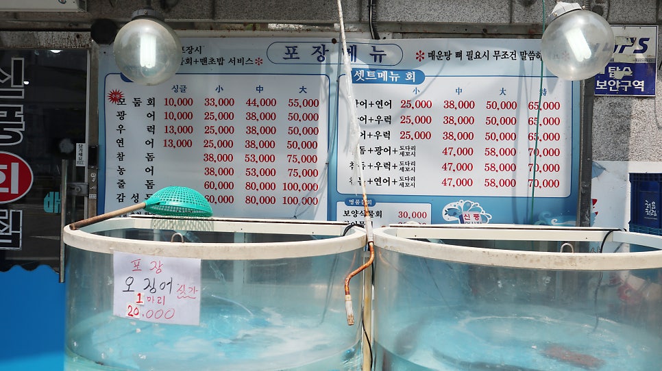 신풍종합어시장 사진 4